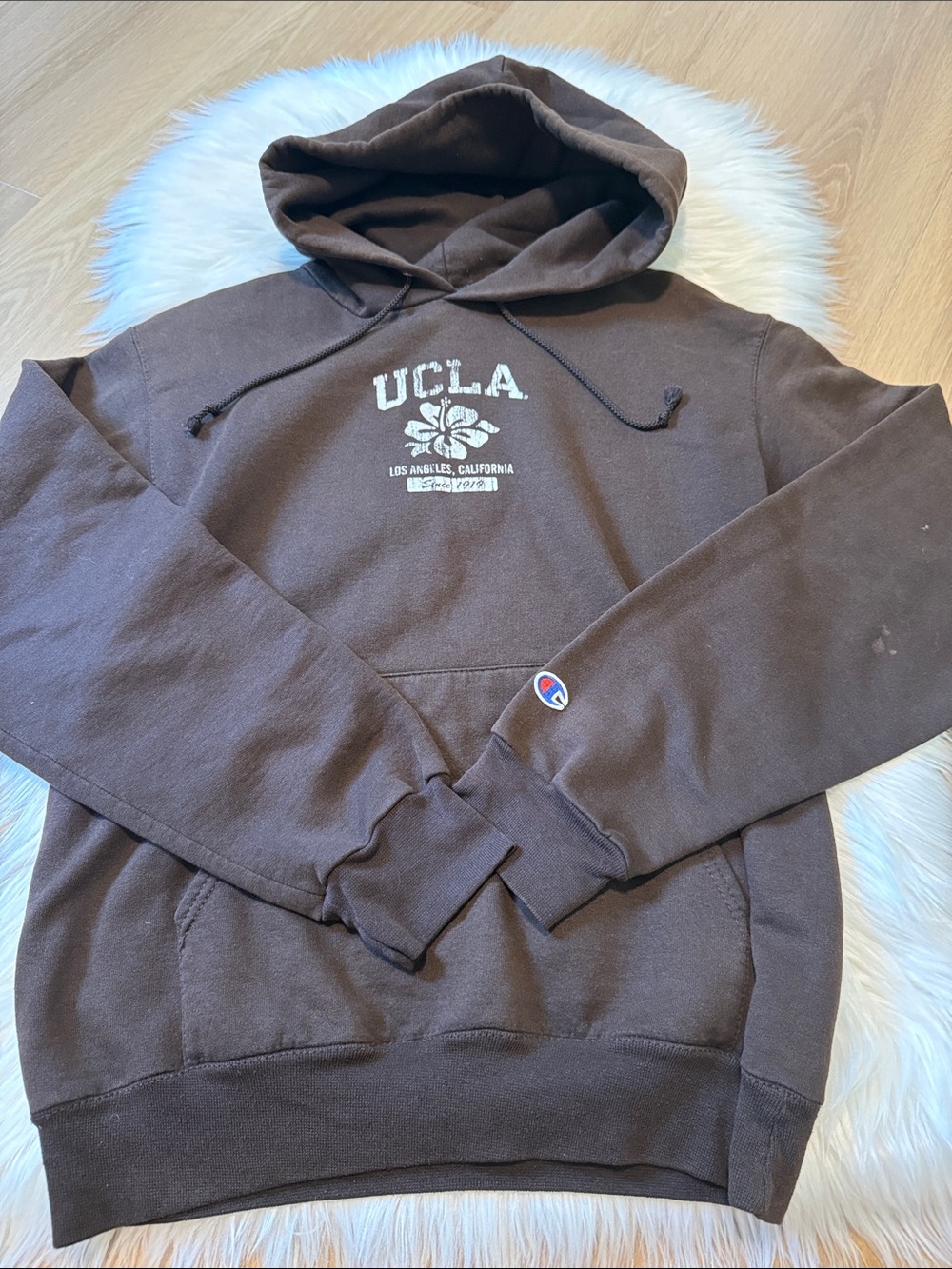 Champion Brown UCLA Pullover Hoodie with Chest Graphic